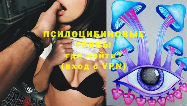 сатива Бронницы
