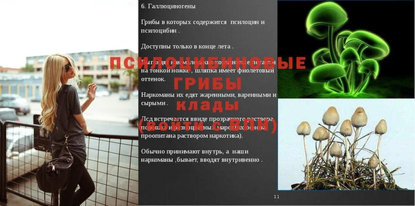 мдма Богородск