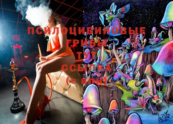 мдма Богородск